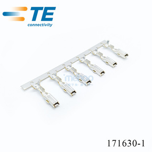 171630-1����TE̩����܇�B�������� �x�����ƙ������Ӿ����ٶ���