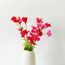 ��@�L����С���»����������򻨲ݻ��ҾӲ�֦�b[���ٻ����滨