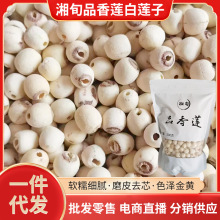 湘旬品相莲白莲子农家自产去芯手工白莲子磨皮无心干莲籽零售批发
