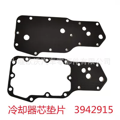 Cooler Core Gasket – Soyutma sisteminin digər hissələri