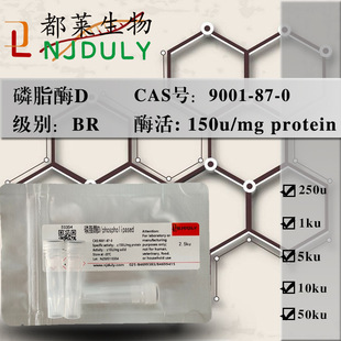 ����ԇ�� ��֬øD/Phospholipase D