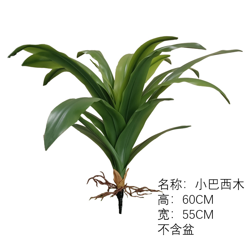 (Nuevo) brazilwood handle bundle