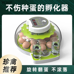 p9j High Hatching Rate Small Household Automatic Intelligent Incubator Rutin Chicken Mini Hatcher Chicken Hatching Egg