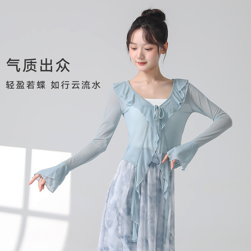 Classical Dance Gauze Clothing, Chinese Dance Practice Clothes, New Long-Sleeved Flowing Everyday Performance Clothes, Ethereal Dance Tops