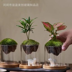 DIYの植物の置物の家の客間のデスクトップの景色のアイデアの植木鉢の卸売りの緑の植の環境保護の透明な容器
