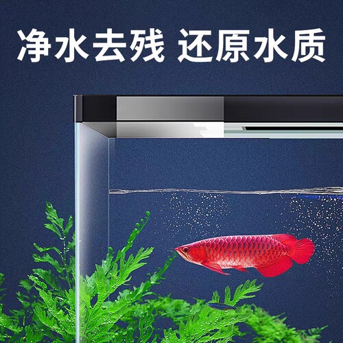 Methylene Blue Fish Tank Disinfectant – Dedicated Bactericide for Aquatic Fish, Used as a Treatment Solution for Fin Rot, Tail Rot, and Water Mold Diseases
