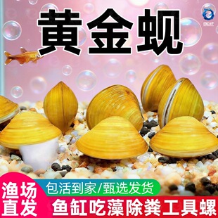 �S��͘�����~ʺ�S���ˮ���w��ˮ�����^�p���~�׃���ˮ�|�S��Ӱ�
