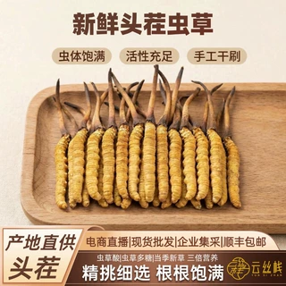 新鲜头茬冬虫夏草高海拔鲜虫草新鲜虫草产地直供源头滋补品批发