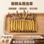 产地源头新鲜冬虫夏草