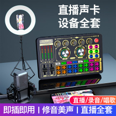 プロの二人の生放送のサウンドカードのフルセットの震え音の速い手の全国民のk歌のキャスターは歌を歌って録音します。
