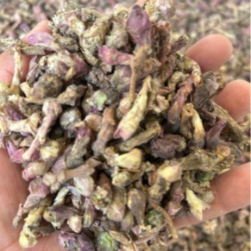 优惠批发各种规格    款冬花    优质冬花