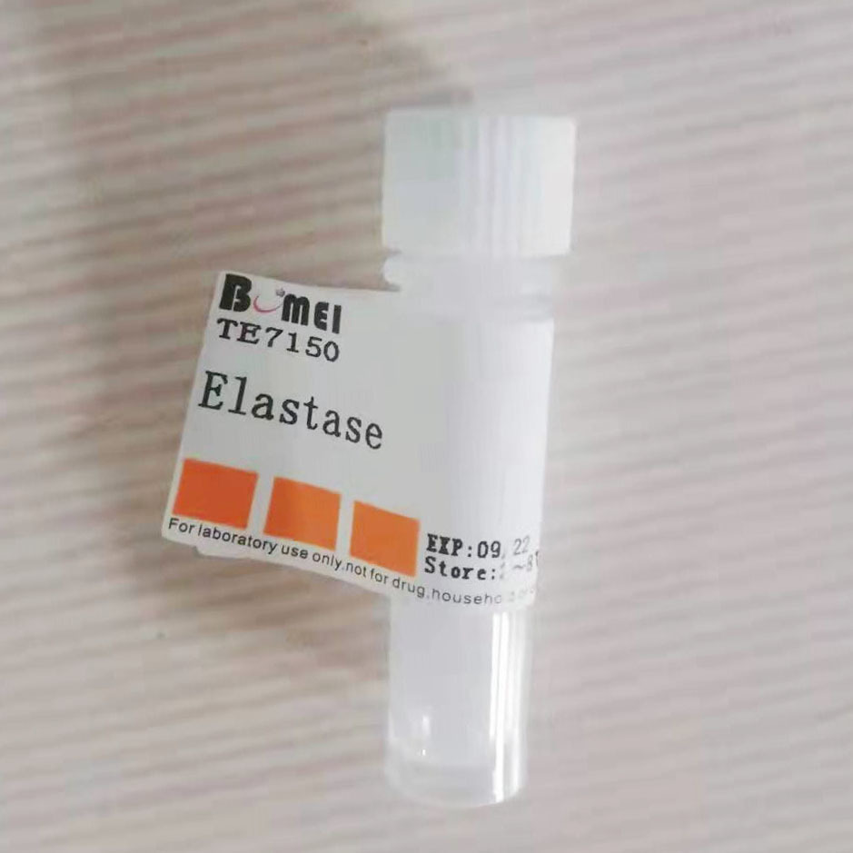 弹性蛋白酶 ≥30U/mg   科研实验试剂CAS:39445-21-1