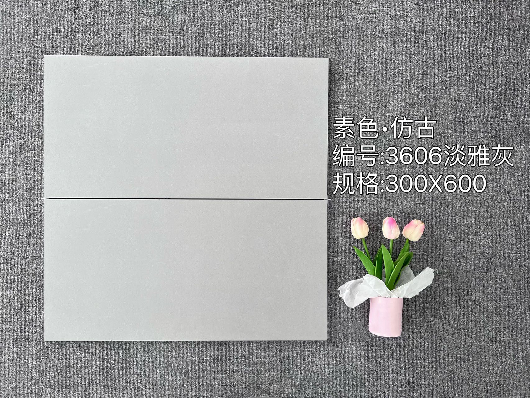 우아한 회색 3606