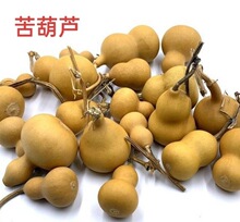 ����J �Ϻ��J �e������J ��� ș�رR �������J С��؛��؛