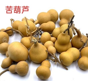 ����J �Ϻ��J �e������J ��� ș�رR �������J С��؛��؛