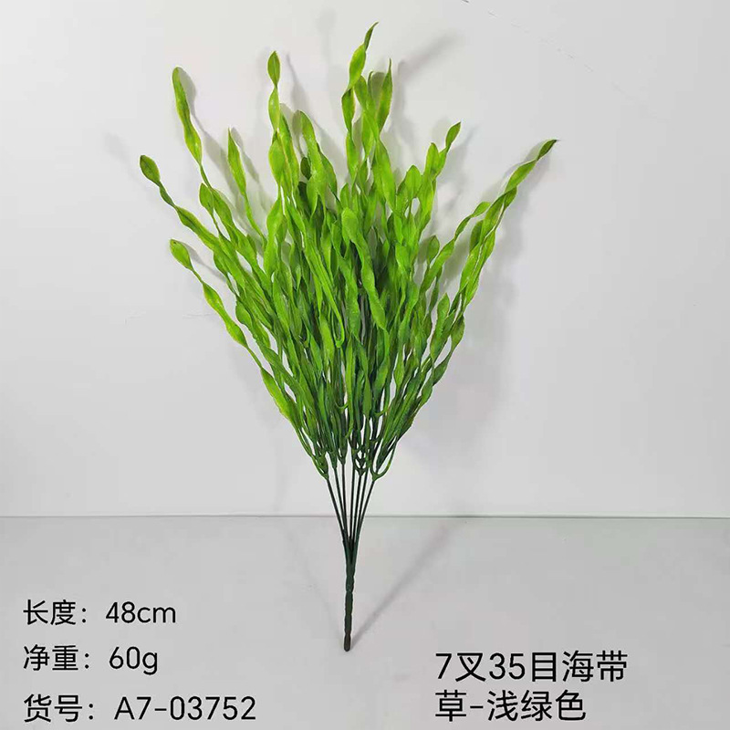 Laminaria verde pálido 7x35mes