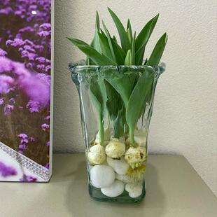 ˮ��������ˮ�B�N�򻨻����ԾGֲ�҃�ֲ���ײ���ˮ�ɻ������L����