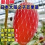 好吃四季地栽香甜果子