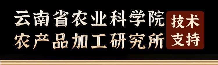 hmqViviiyNSAyin9WuaSt/EIURIOduUS3ZWb