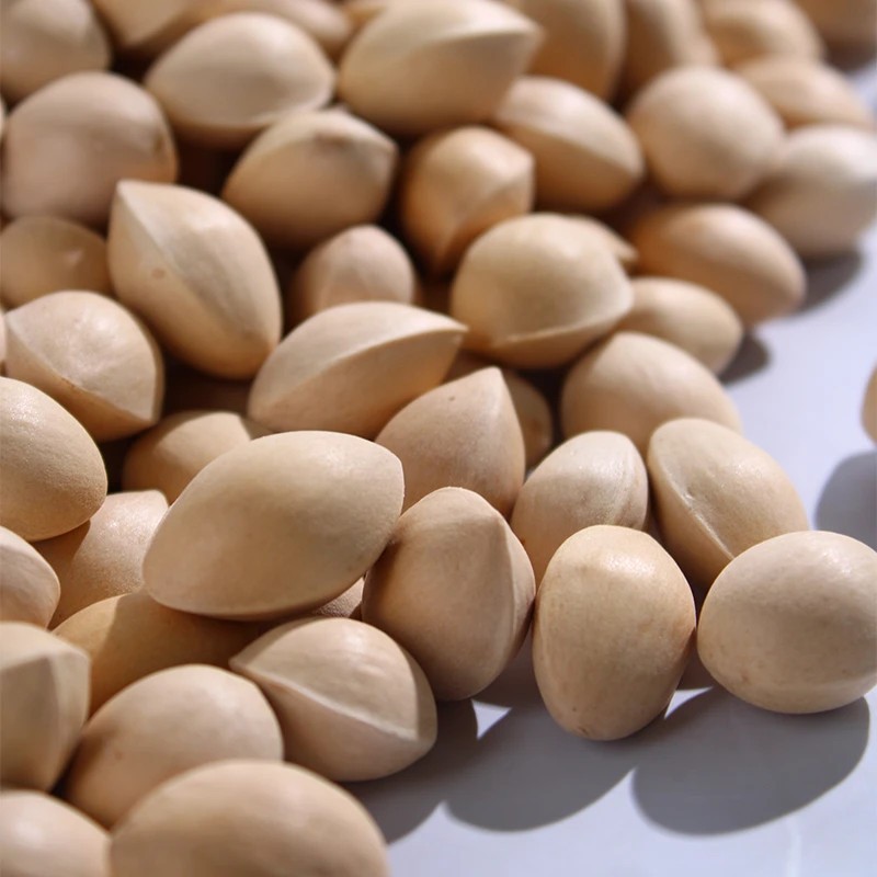 Dried Ginkgo Seeds Bai Guo 500g Ginkgo biloba Nuts for Soup and Culinary Use specifications