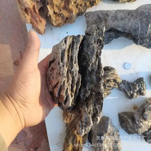 Factory supply Qinglong stone pine skin Stone complete specifications aquarium fish tank landscaping fake stone pickling Qinglong Stone