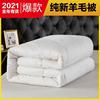 Pure New Wool is keep warm Winter quilt ventilation soft fluffy No Smell Home Furnishing dormitory Bedding