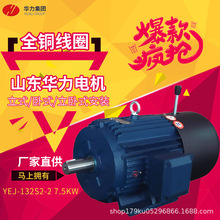 山东华力电机YEJ-90L-2 2.2KW系列电磁制动三相异步电动机直供