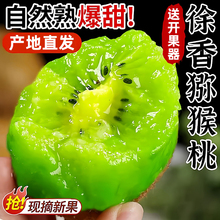 陕西眉县徐香猕猴桃新鲜大果当季整箱产地直发绿心奇异果礼盒