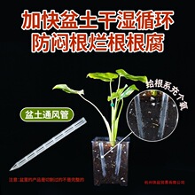 ����ͨ�L�ܻ�����ö��⻨����������������бP���ϻ���rˮ��