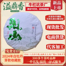 溢鼎香2024正宗福鼎花香白牡丹白茶茶饼福建头春首采紧压白茶300g