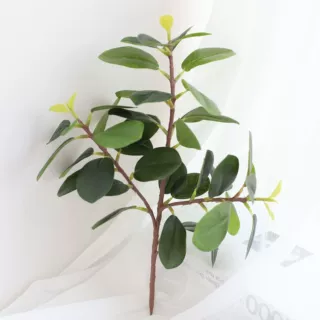 短枝3叉金钱榕 圆叶榕胶片小榕叶家居花艺插花假树叶装饰盆栽绿植