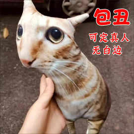 丑猫异形抱枕腰靠定制 无白边 印照片定做宠物枕头猫狗礼物无描边