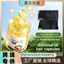 ȫӢ��SADOERҬ�������B혻��o�l�����z������o�l�ؿ羳���Q���l