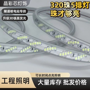 High-voltage led lights with oblique 5 rows of 320 beads super bright lens waterproof project outdoor interior lighting waterproof strip