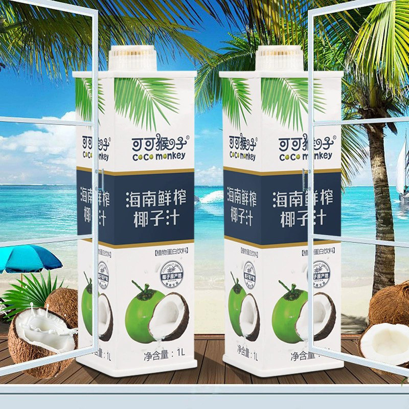 海南特产鲜榨椰汁 植物蛋白饮品1升装椰奶饮料厂家批发整箱椰子汁