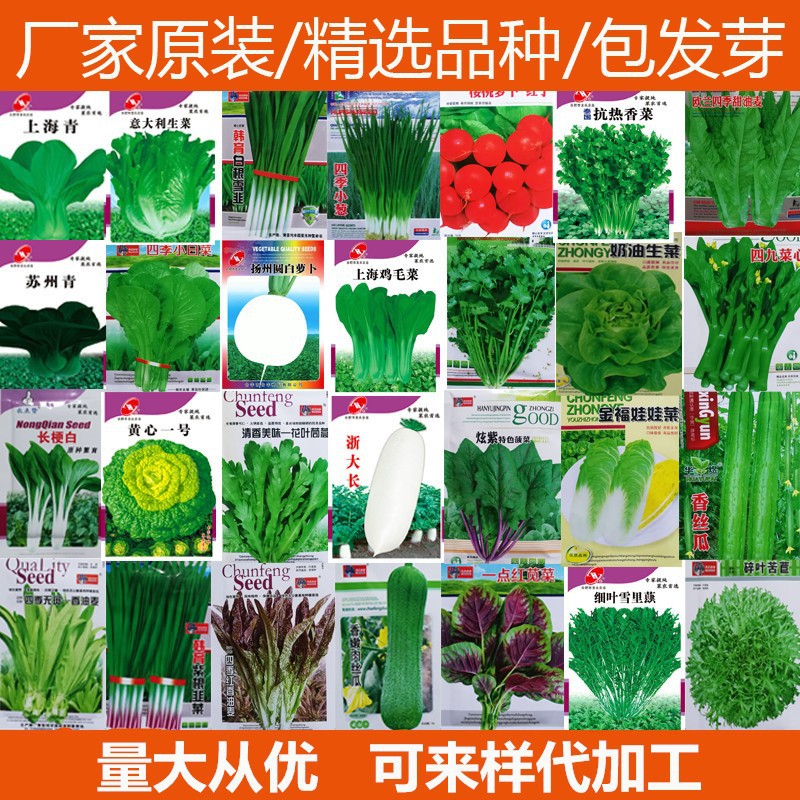 批发小包装蔬菜种子源头厂家电商引流原装彩包四季盆栽易活菜种子
