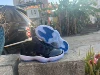 AJ11, низкий, чёрный/тёмно-синий