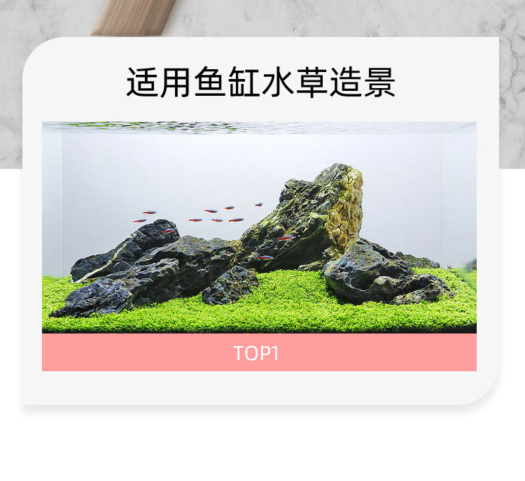 详情_02.jpg