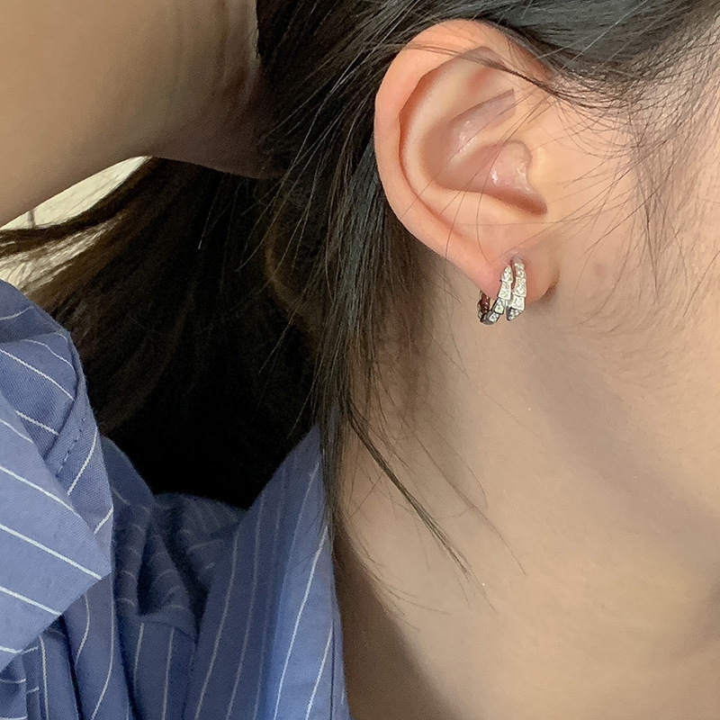 Small design fashionable sophisticated earrings