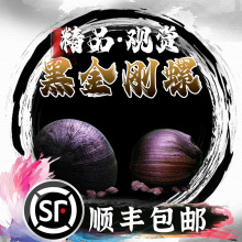 黑金刚螺草缸除藻螺热带观赏螺洋葱螺斑马螺清洁刷缸工具螺活体螺