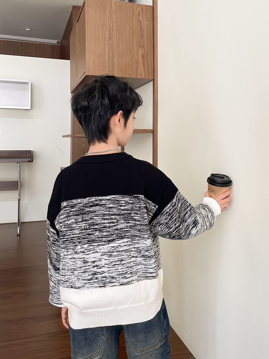 Haima's Boys' Stylish Pullover Sweater with Round Neck, 2025 Winter New Korean Style Children's Winter Clothing Top