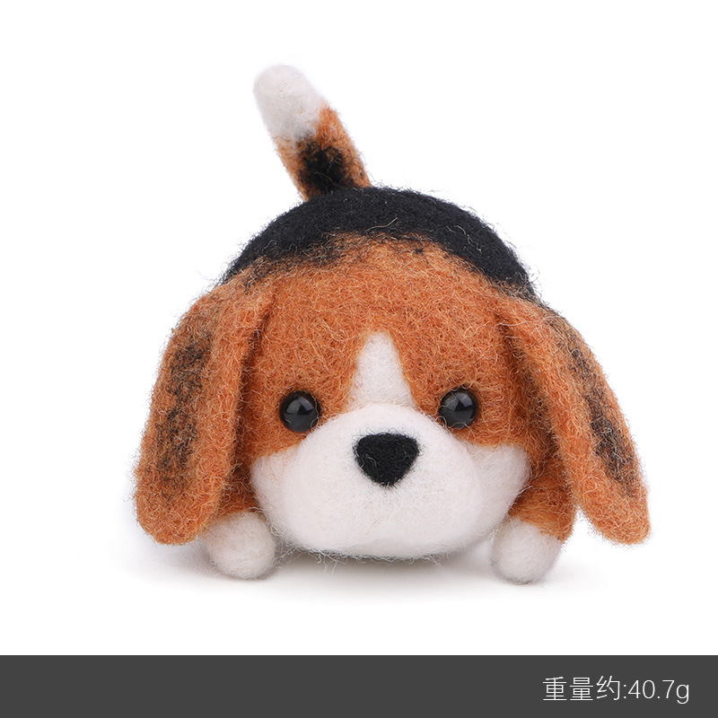 비글; 영어 설명서 + 영어 비디오 설명;-