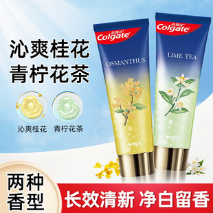 ��¶����ˬ�������������������ȥ�n�坍�o�l���¿ښ���Ʒ