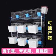 麓f熱鍍鋅母兔籠9位12位養殖專用兔子籠種兔籠大坡清糞子母兔籠兔