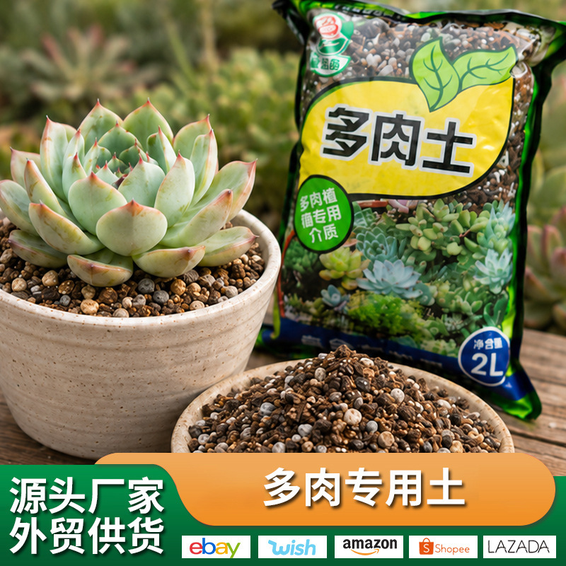Specialized Loose and Breathable Granular Nutrient Soil for Succulents, Prevents Root Rot, Promotes Growth, Easy to Use for Potted Plants, General-Purpose Growing Medium Specialized Loose and Breathable Granular Nutrient Soil for Succulents, Prevents Root Rot, Promotes Growth, Easy to Use for Potted Plants, General-Purpose Growing Medium