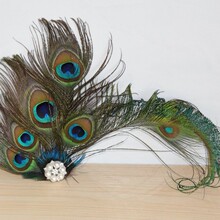 �¿�W����ȸ��ë�^�������^���������赸�l� ӡ�ڰ��˰l�A