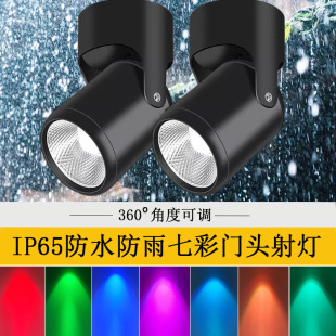 Outdoor Rainproof Door Head Spotlight Colorful Surface-Mounted Sign Advertising Floodlight Adjustable Angle Outdoor Ceiling Plaque