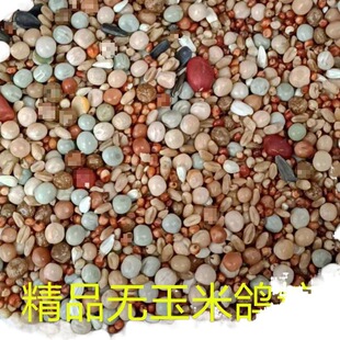 ���Z����������ϟo���נI�B������������������^�p�ϱ���ɳ