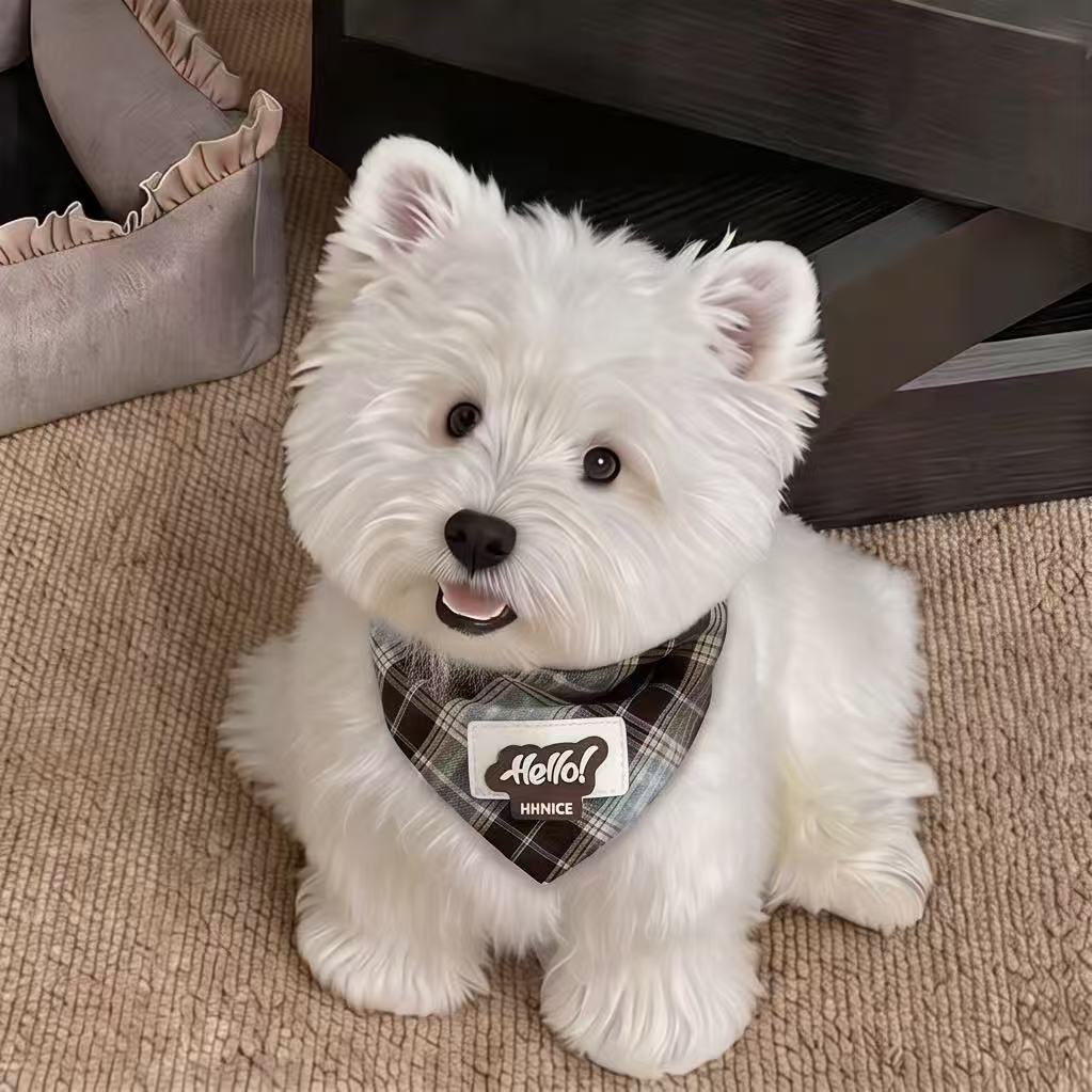 Cat and Dog Bandanas, Gentleman's Bow Ties, Academy-Style Triangle Scarves, Decorative Pet Bandanas, Shawls, Pet Bow Ties