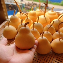 ��Ȼ������J����녶���С���J�Δ[����ְѼ�ԭƤ���Jһ�����l